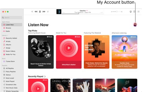 Where is the Account Menu on Apple Music? A Journey into the World of Music Streaming