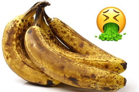 Who is the God of Music, and Why Do Bananas Sing in the Shower?